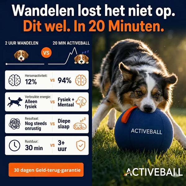 ActiveBall™ | Geef je hond urenlang actieve uitdaging 🐶 Forivita.nl