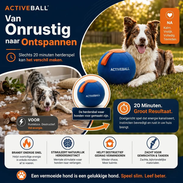 ActiveBall™ | Geef je hond urenlang actieve uitdaging 🐶 Forivita.nl
