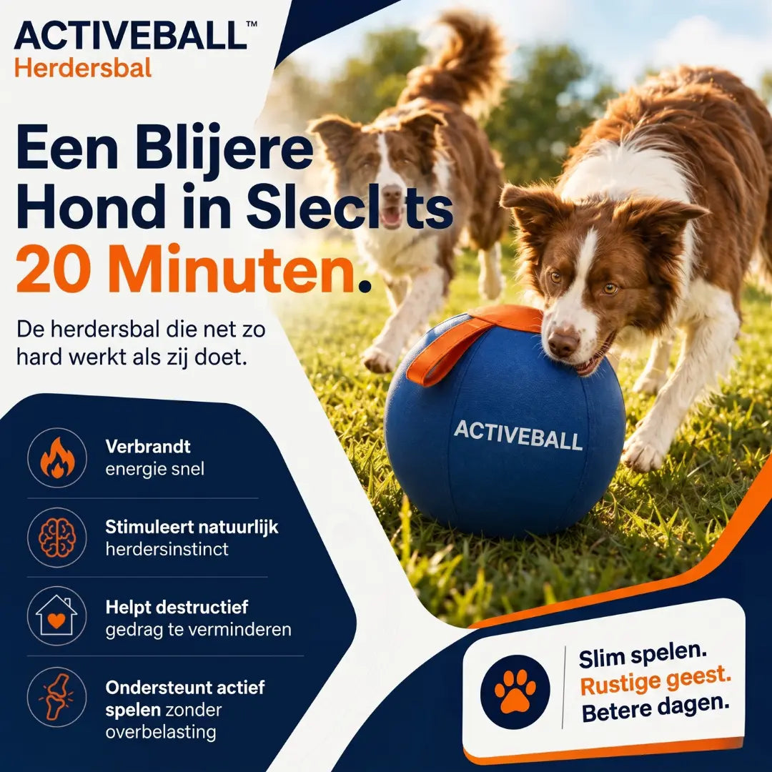ActiveBall™ | Geef je hond urenlang actieve uitdaging 🐶 Forivita.nl
