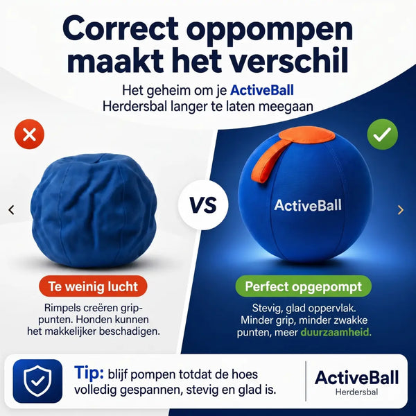 ActiveBall™ | Geef je hond urenlang actieve uitdaging 🐶 Forivita.nl